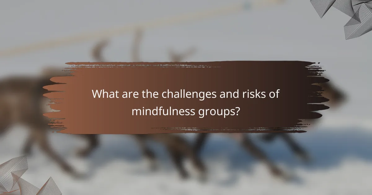 What are the challenges and risks of mindfulness groups?