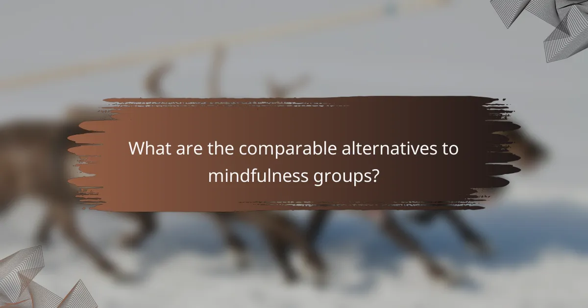 What are the comparable alternatives to mindfulness groups?