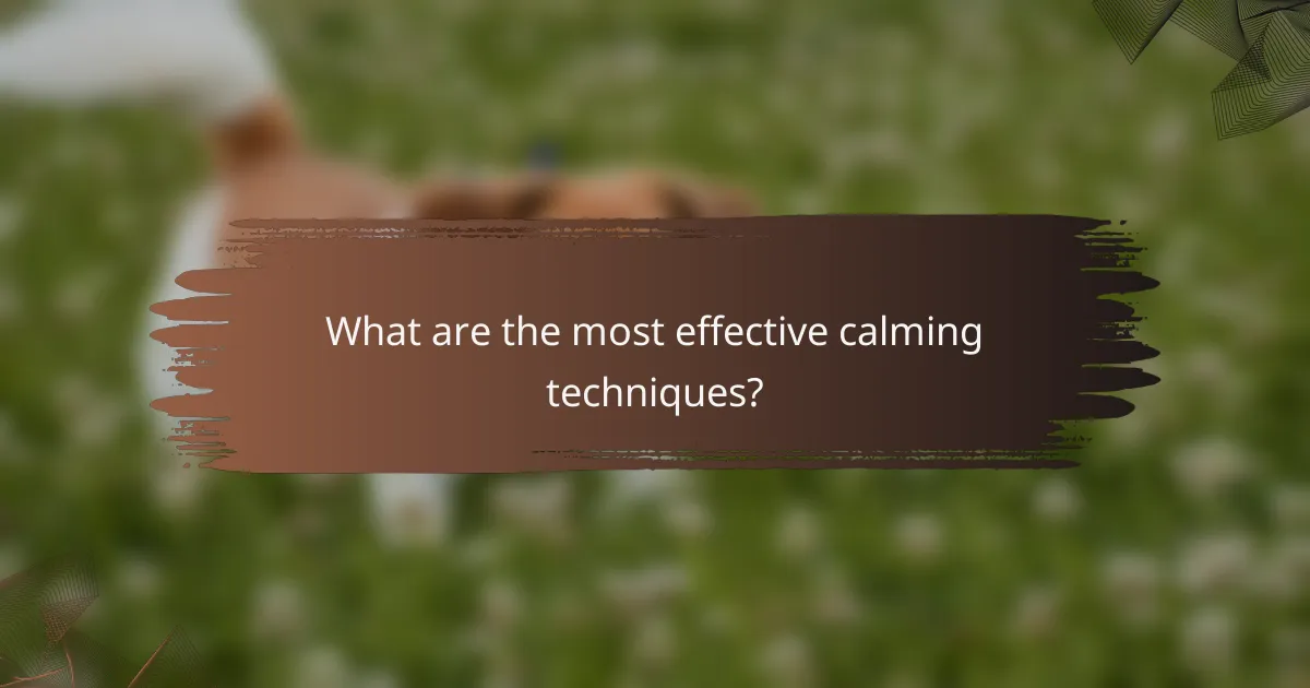 What are the most effective calming techniques?